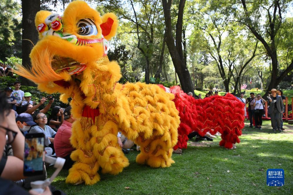 12博手机入口